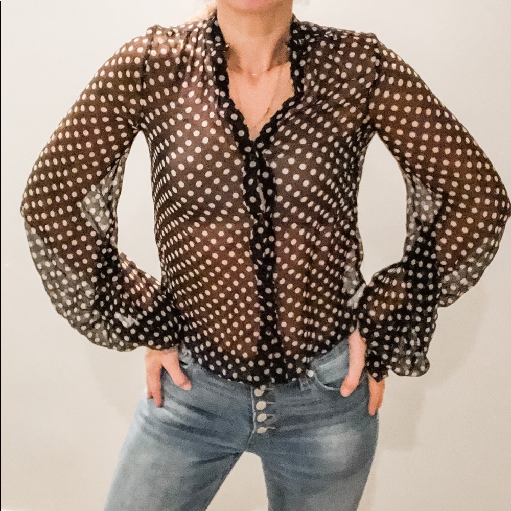 Haute Hippie Sheer Blouse